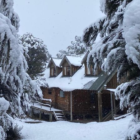 Charlies Cabin - Mt Lyford Ngoại thất bức ảnh